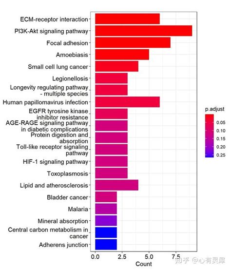bitr_kegg|dotplot showcategory.